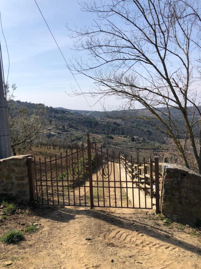 Podere Soccorso Casa Vigneto Montalcino Exterior photo